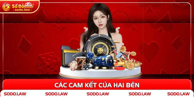Các cam kết của hai bên
