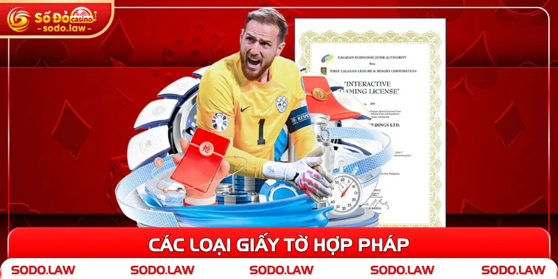 Các loại giấy tờ hợp pháp