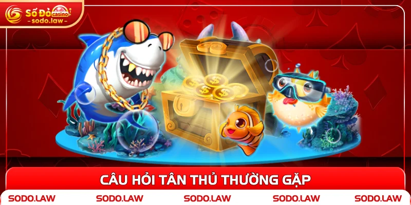 Câu hỏi tân thủ thường gặp