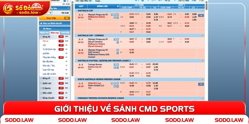 Giới thiệu về sảnh CMD Sports