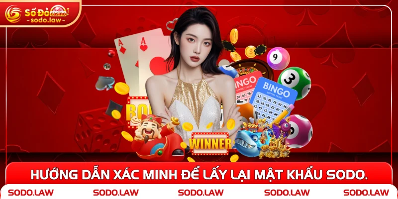 Hướng dẫn xác minh để lấy lại mật khẩu SODO.