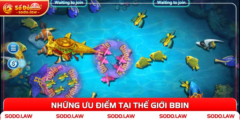 Những ưu điểm tại thế giới BBin