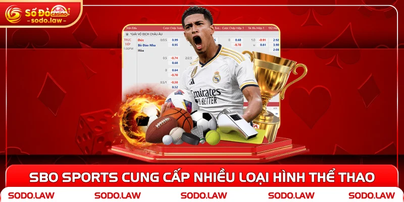 SBO Sports cung cấp nhiều loại hình thể thao