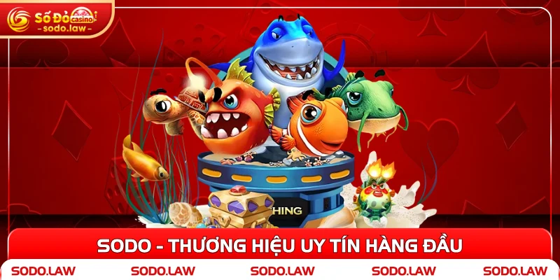 SODO - Thương hiệu uy tín hàng đầu