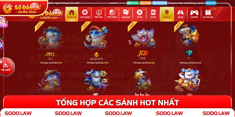 Tổng hợp các sảnh hot nhất